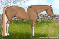 Horse Color:Chestnut Tobiano