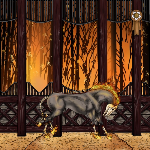 Horse Color:Grullo Rabicano 