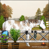Horse Color:White Spotted Black Pearl Sabino Splash Rabicano