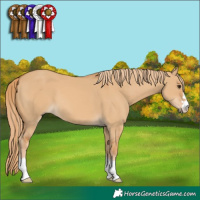Horse Color:Red Dun 