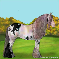 Horse Color:Nacre White Spotted Amber Champagne Ice Appaloosa 