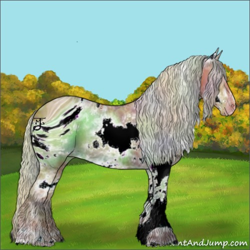 Horse Color:ERROR: UNKNOWN ANOMALY