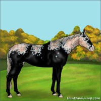 Horse Color:Watercolor Plaid  White Spotted Silver Grullo Ice 