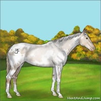 Horse Color:White Spotted Liver Chestnut Pearl 