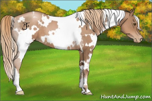 Horse Color:White Spotted Liver Chestnut Pearl 