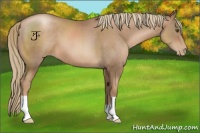 Horse Color:Liver Chestnut Pearl 