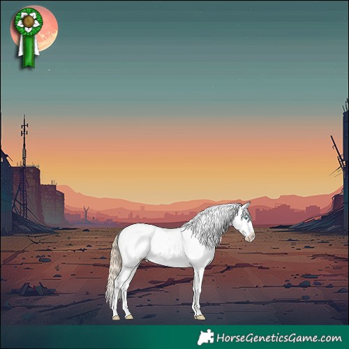 Horse Color:Perlino Dun Snowcap 