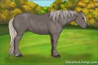 Horse Color:Silver Black 