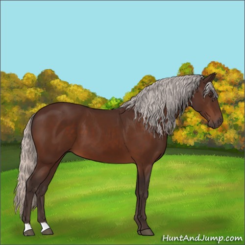 Horse Color:Silver Brown 