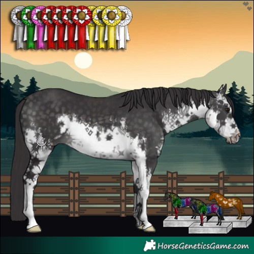 Horse Color:Platinum White Spotted Buckskin 