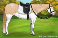 Horse Color:Bay Pearl Splash 