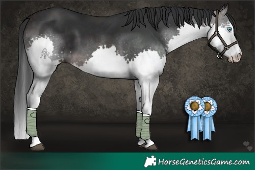 Horse Color:Platinum Brown Splash 