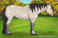 Horse Color:White Spotted Bay Ice Dun
