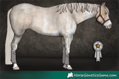 Horse Color:Gray White Spotted Silver Smoky Blue Roan Pearl 