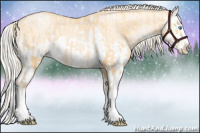 Horse Color:Palomino Roan Pearl Splash and Palomino Roan Pearl Splash Rabicano