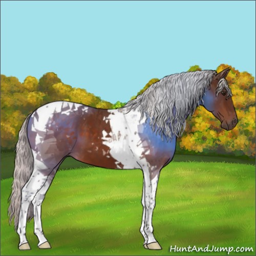 Horse Color:Silver Bay Tobiano