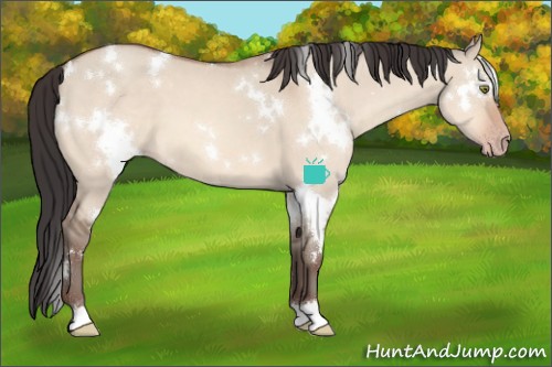 Horse Color:White Spotted Sable Champagne Dun
