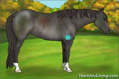 Horse Color:Smoky Black Rabicano