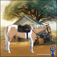 Horse Color:Silver Bay Dun Tobiano 