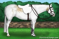 Horse Color:White Spotted Buckskin Dun Splash Tobiano 