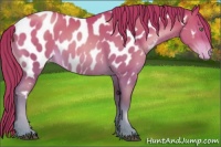 Horse Color:Brown Pearl Near Leopard 
