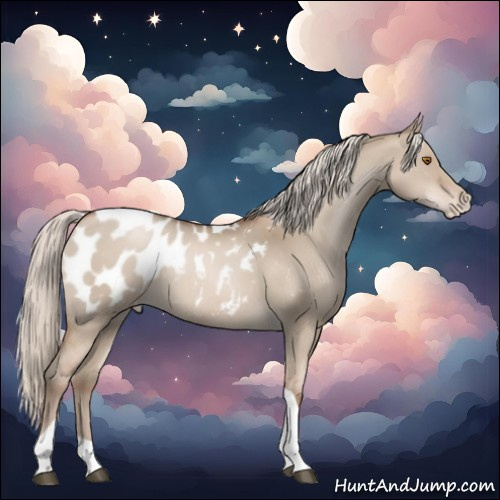 Horse Color:Silver Grullo Pearl Tobiano Appaloosa 