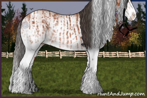 Horse Color:White Spotted Bay Splash and White Spotted Bay Splash Tobiano