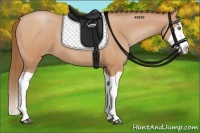 Horse Color:Bay Pearl Splash 