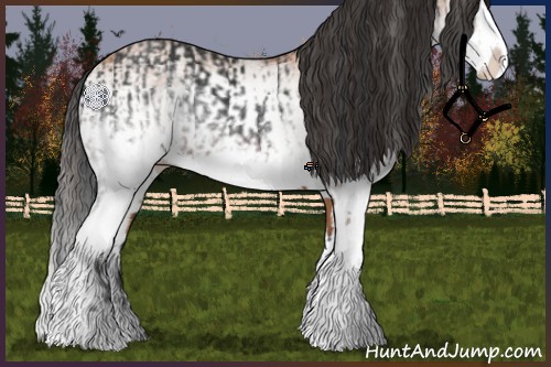 Horse Color:White Spotted Brown Splash and White Spotted Bay Splash
