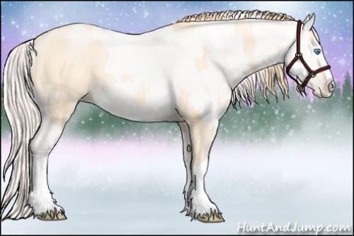 Horse Color:Buckskin Pearl Splash  and Amber Cream Champagne Pearl Splash 