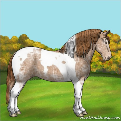 Horse Color:Chestnut Ice Tobiano 