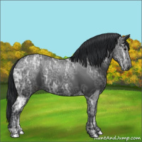 Horse Color:Black Ice 