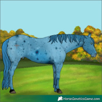 Horse Color:ERROR: UNKNOWN ANOMALY