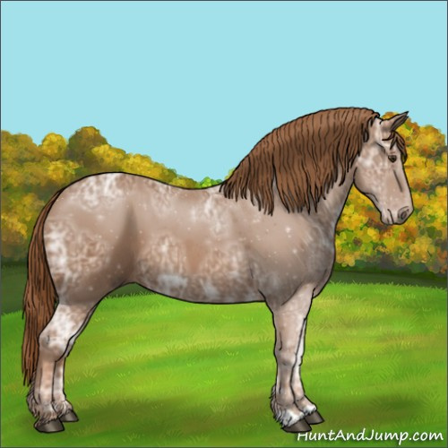 Horse Color:Chestnut Ice 