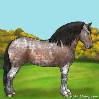 Horse Color:Bay Ice