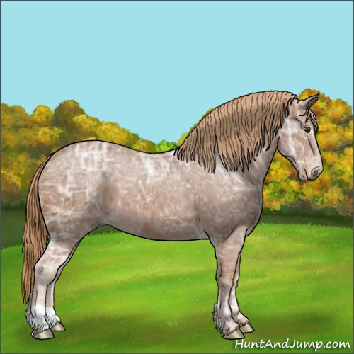 Horse Color:Chestnut Ice 