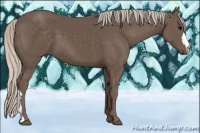 Horse Color:Silver Black 