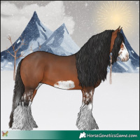 Horse Color:Bay Splash  and Bay Splash Frame 