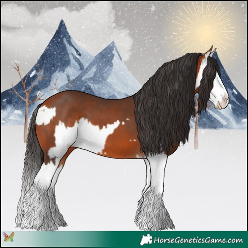 Horse Color:Bay Splash and Bay Splash