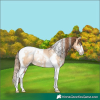 Horse Color:White Spotted Brown Pearl Dun Splash Tobiano Rabicano 