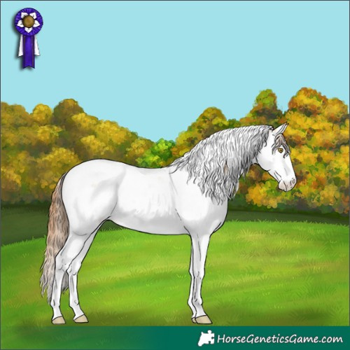 Horse Color:White Spotted Bay Pearl Dun Splash Tobiano Rabicano
