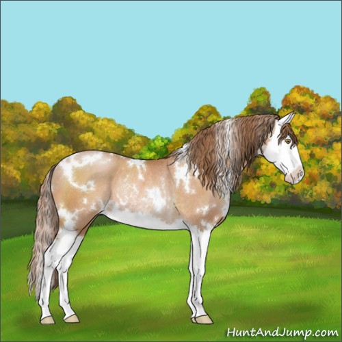 Horse Color:White Spotted Brown Pearl Splash Rabicano