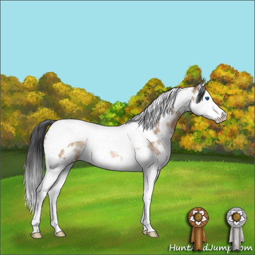 Horse Color:White Spotted Brown Dun Splash Tobiano Rabicano 