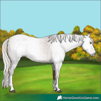 Horse Color:Gray Silver Blue Roan Pearl Tobiano