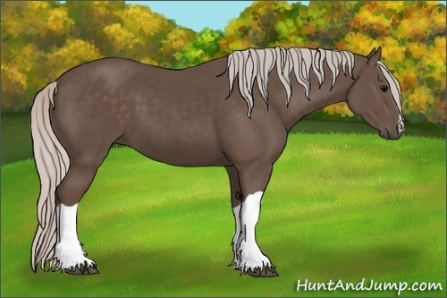 Horse Color:Silver Black 