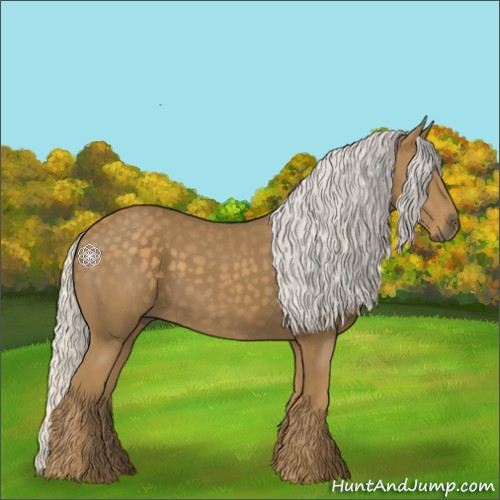 Horse Color:Silver Smoky Black 