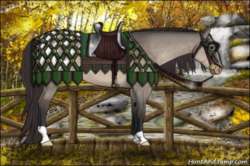 Horse Color:Bay Dun Appaloosa 