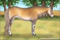 Horse Color:Chocolate Palomino Onyx