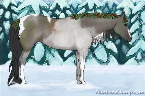 Horse Color:Grullo Sabino Tobiano Rabicano 