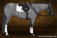 Horse Color:Blue Roan 